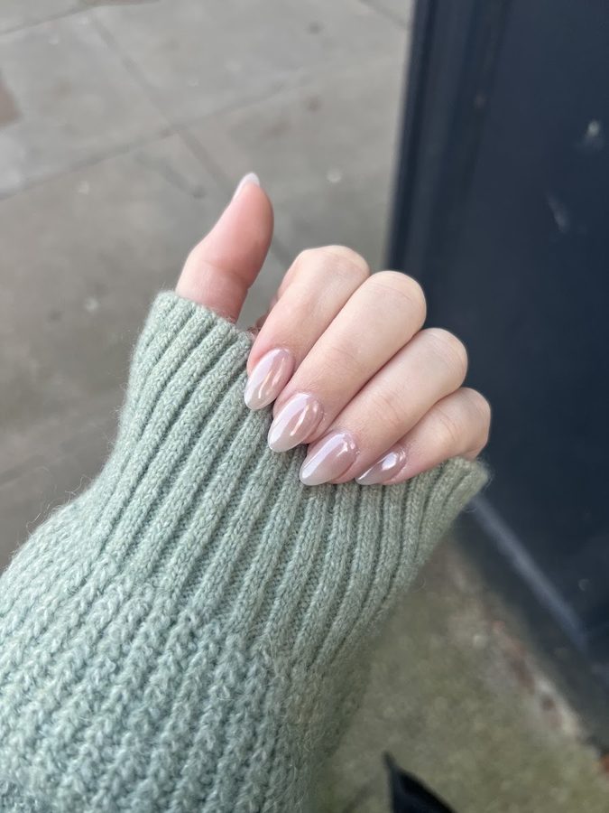 Venus Nails & Spa work